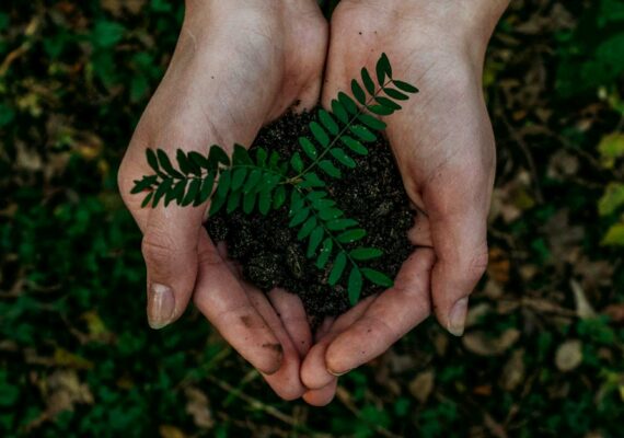 Reformas Sostenibles: Cómo Hacer su Hogar Más Ecológico